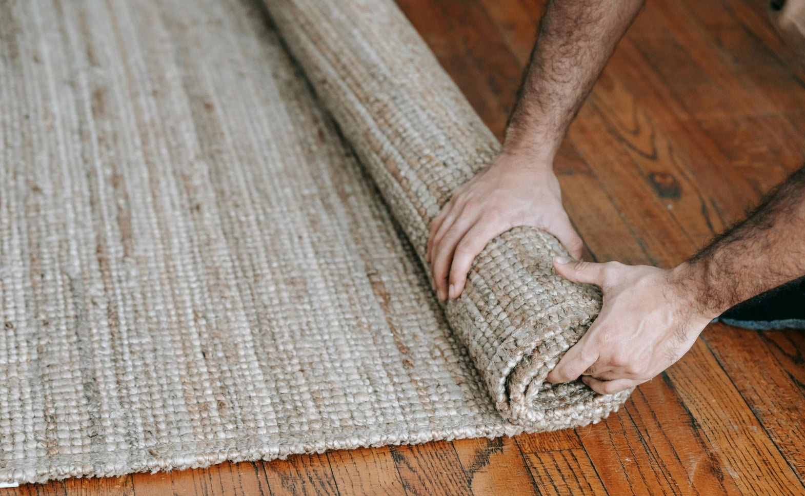 Commercial carpet cleaning operative using rotary extraction equipment